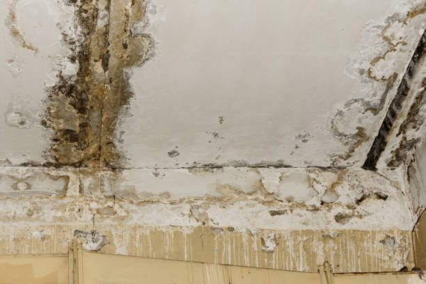Best Indoor Air Quality Assessment  in Albuquerque, NM